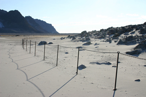 The fence around the graves at Gravneset. The formation of drift sand is clearly visible.